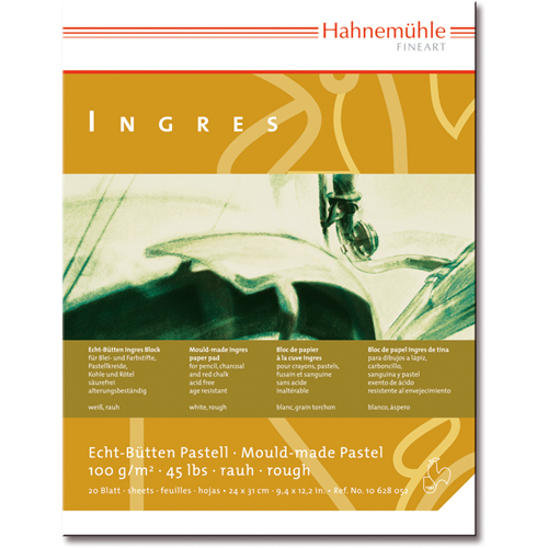 -   Hahnemuhle Ingres 2431 100  20  9 