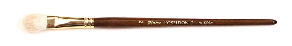     12  Pinax Poseidon 828  