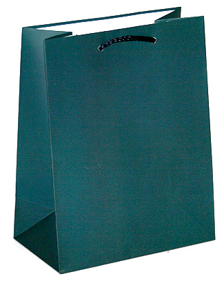 Сумка бумажная средняя 18х23х10 см