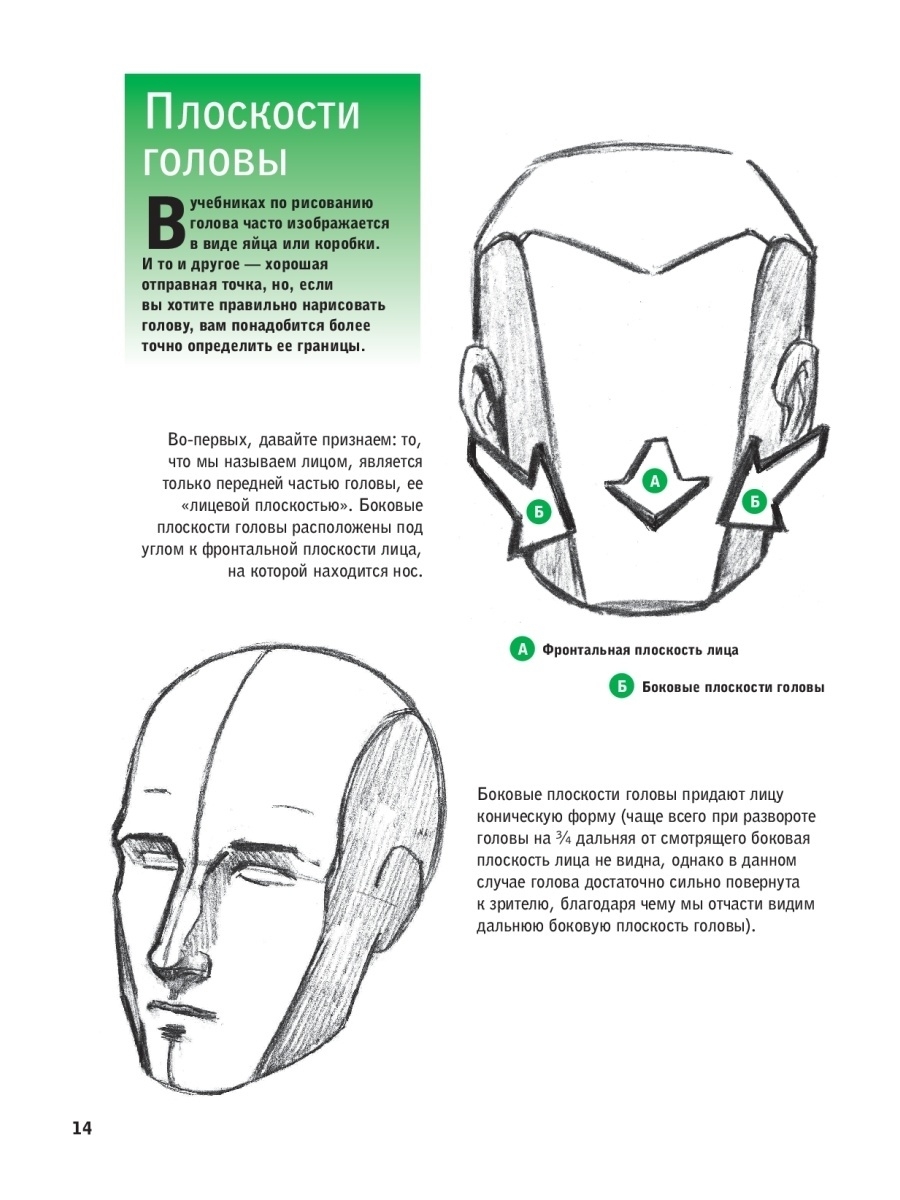 Как научиться рисовать лицо человека поэтапно?