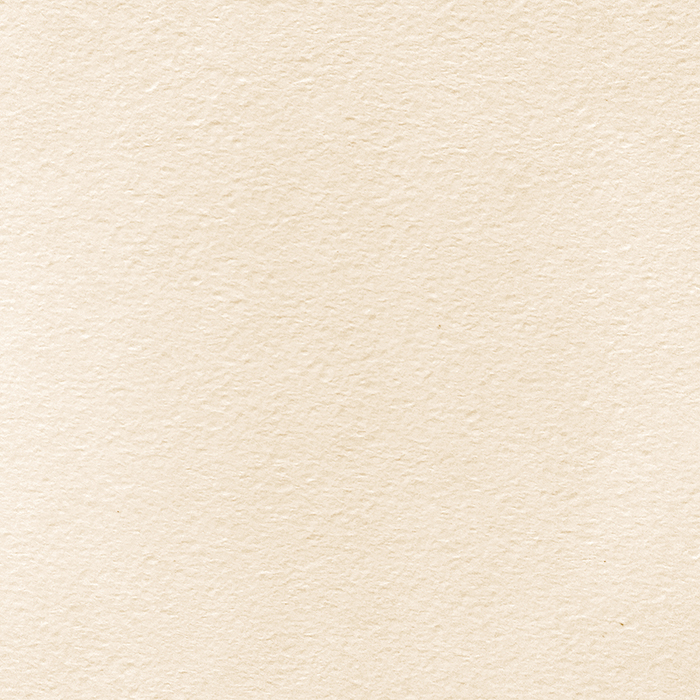 Папка для акварели Лилия Холдинг "Сирень" А2 10 л 300 г, цвет бумаги молочный
