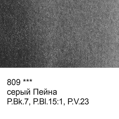 Акварель VISTA-ARTISTA Studio кювета 25 мл цв 809 серая пейна 95₽
