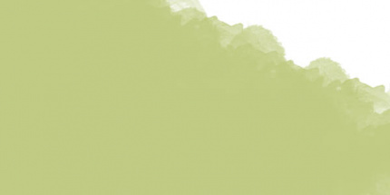 Пастель масляная профессиональная Mungyo, цвет №302 Зеленая ива