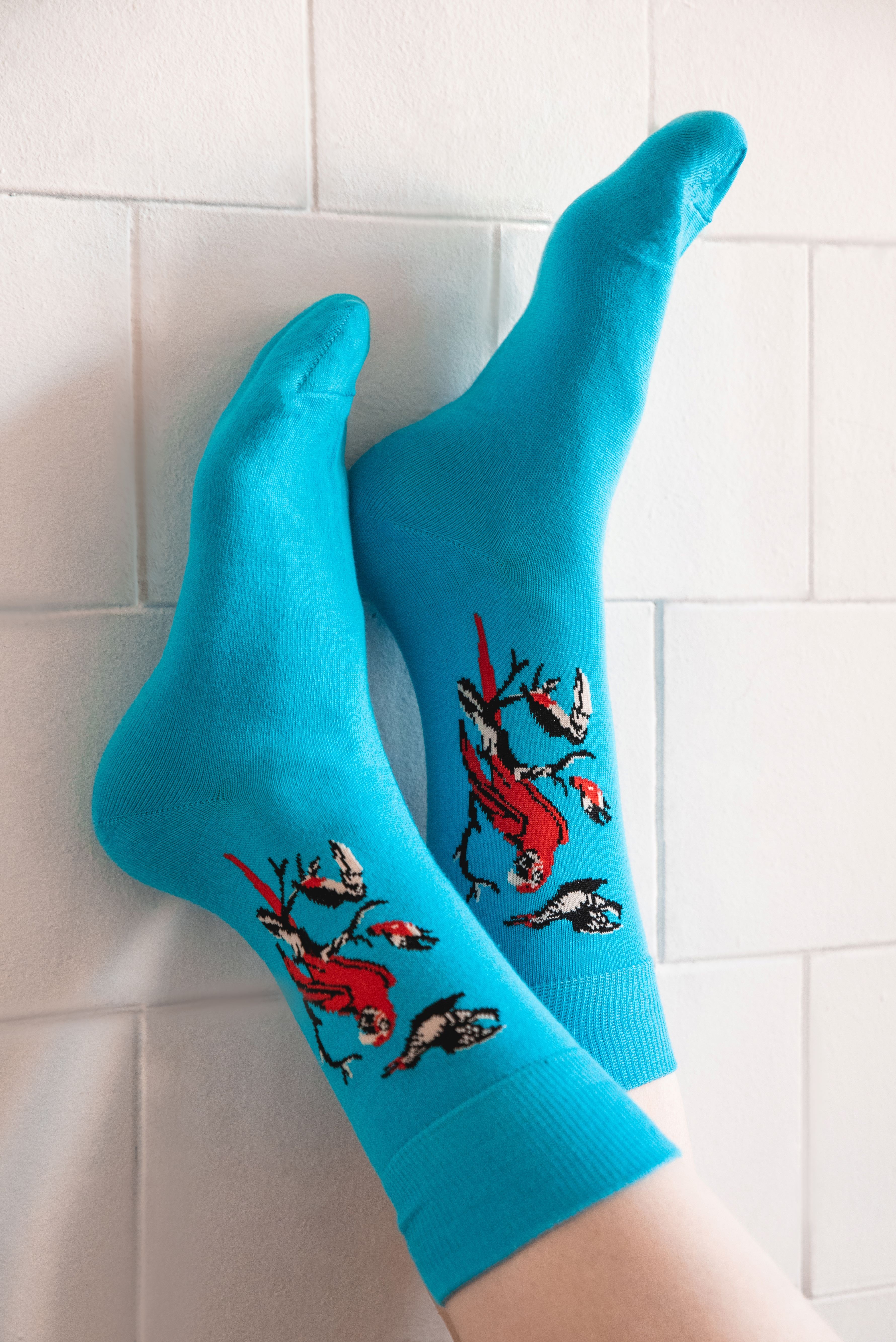 Носки quotArs Vivendi Птичий концерт quot 34-37 590₽