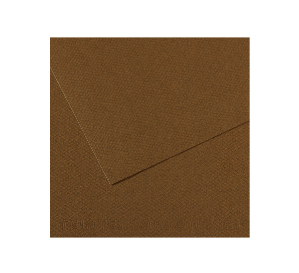 папка для хранения работ canson studio на резинках 61 81 см зеленая Бумага для пастели Canson 