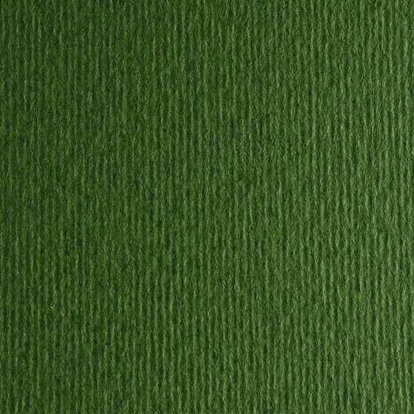 Бумага для пастели Fabriano "Cartacrea" 21x29,7 см 220 г, темно-зеленый