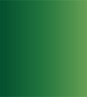 Акварель ShinHanart PWC extra fine 15 мл №569 Кадмий зеленый палитра бумажная shinhan отрывная 35 5 25 см 25 листов