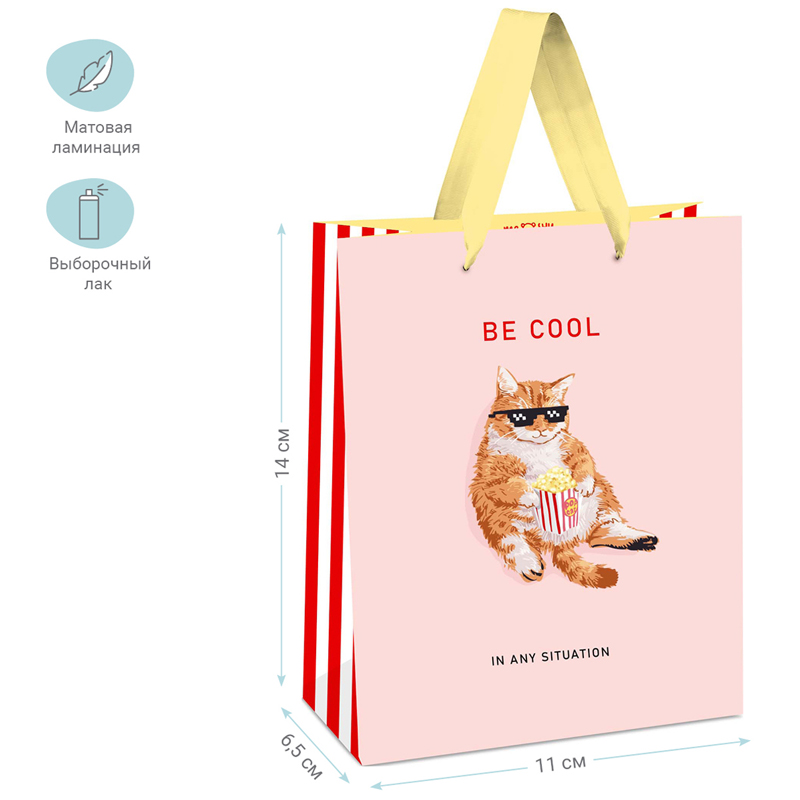 Пакет подарочный MESHU "Be cool" 11*14*6,5 см