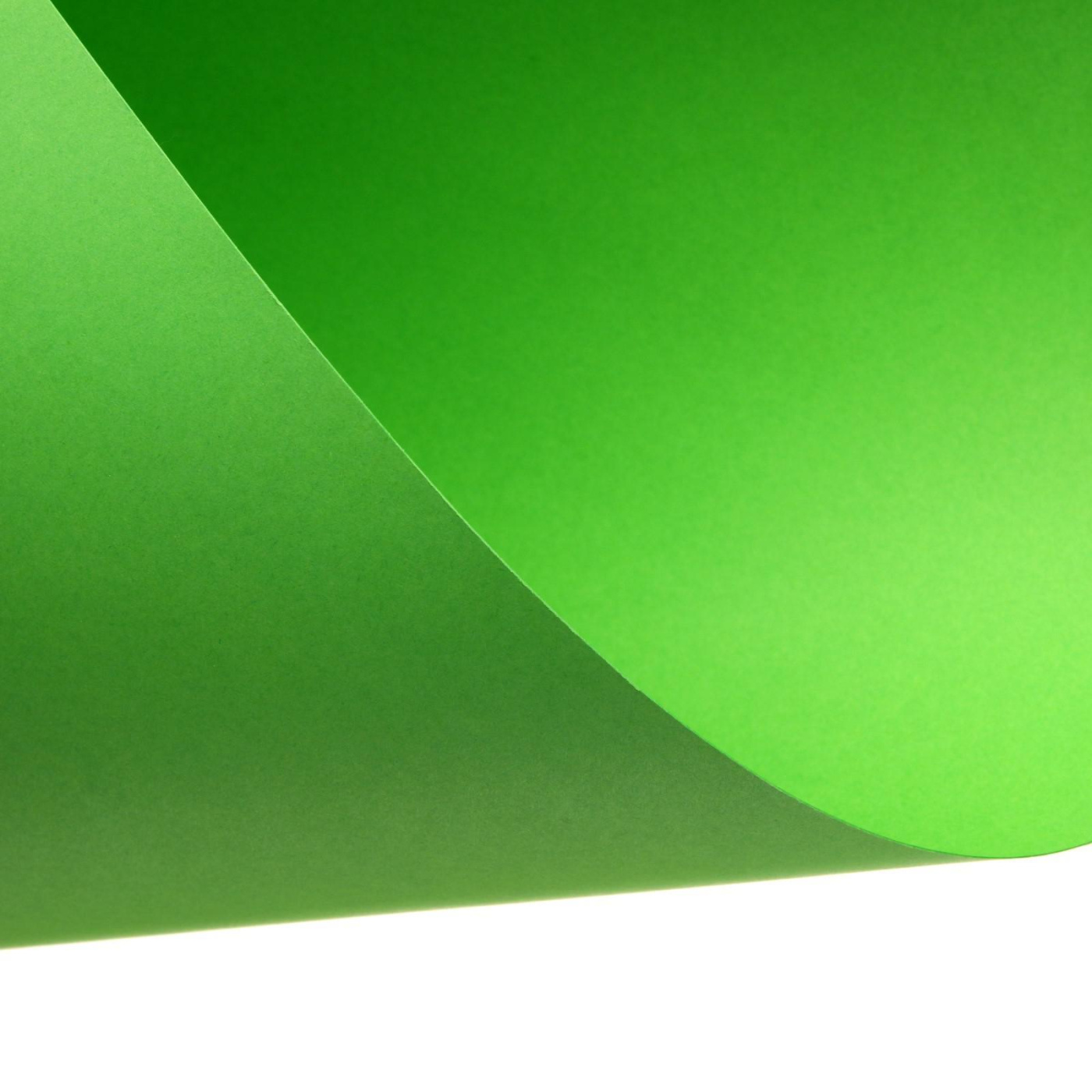 Картон цветной тонированный 420х594 мм, 200 гр, зеленый альбом для рисования 24л а4 медведи кот мел картон вд лак текстура кожа спираль ассорти