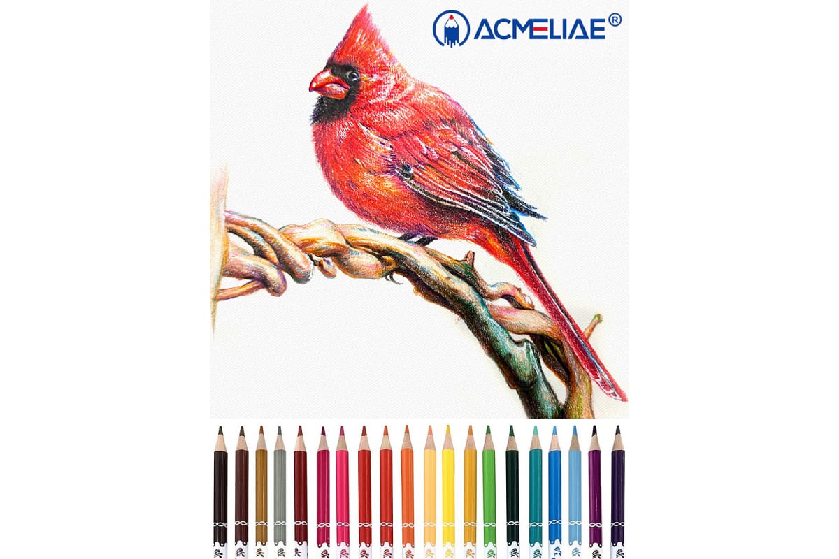 Набор стираемых цветных карандашей Acmeliae 24 цв в картонном футляре Acm-43740 - фото 4