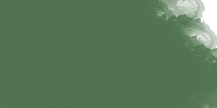 Пастель масляная профессиональная Mungyo, цвет №298 Темно-болотный бусины для творчества пластик колечко пастель ные глянец 20 гр 0 9х1 4х1 4 см