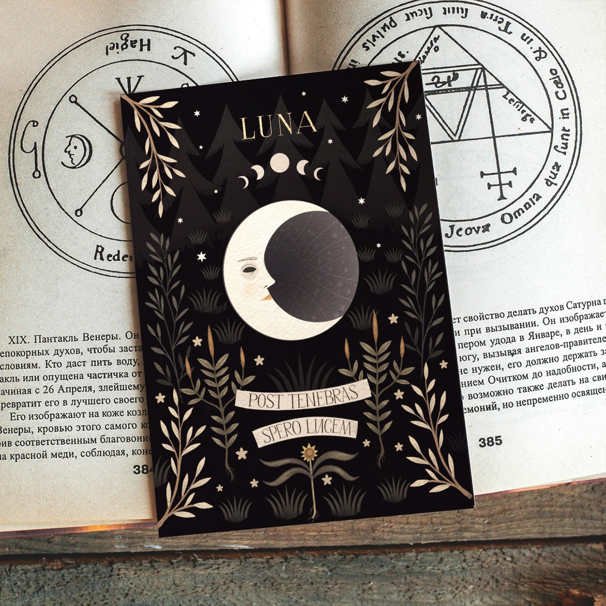 Открытка Дворникова А Луна 110₽