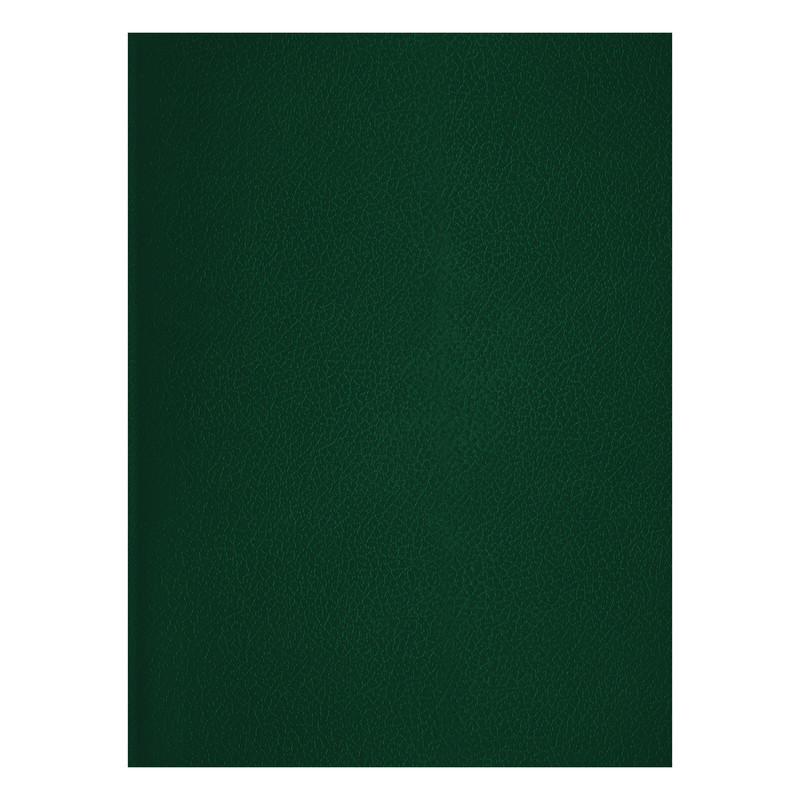 Тетрадь в клетку BG А4 48 л бумвинил зеленый 98₽