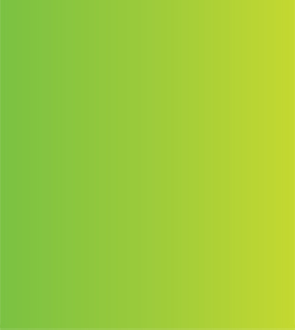 Акварель ShinHanart PWC extra fine 15 мл №565 Кадмий зеленый светлый оракул американских индейцев