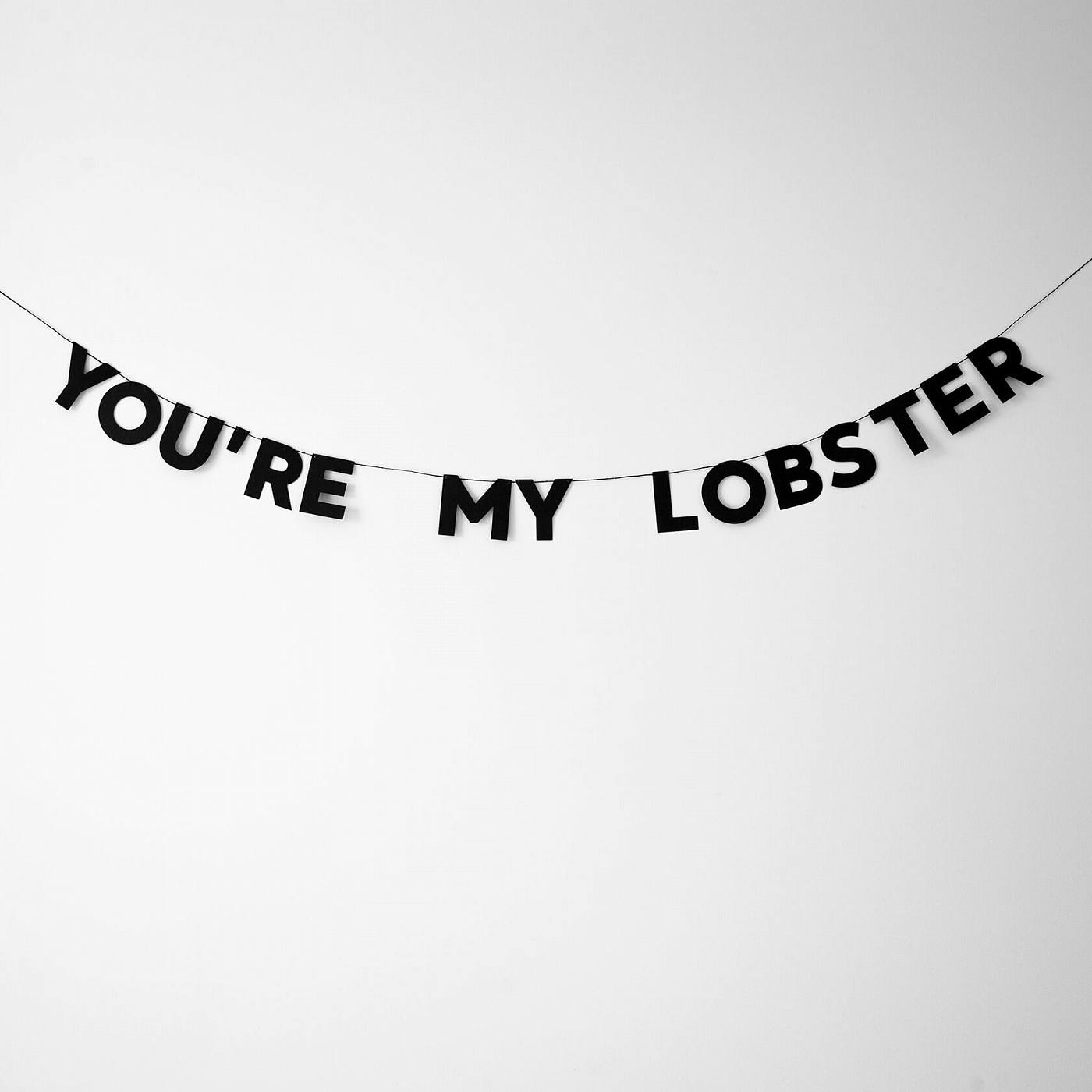 YOURE MY LOBSTER