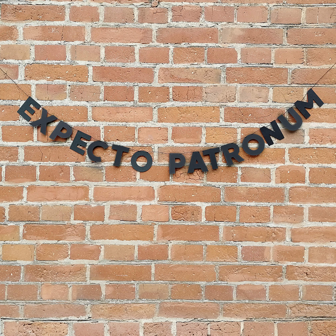 Гирлянда "EXPECTO PATRONUM"