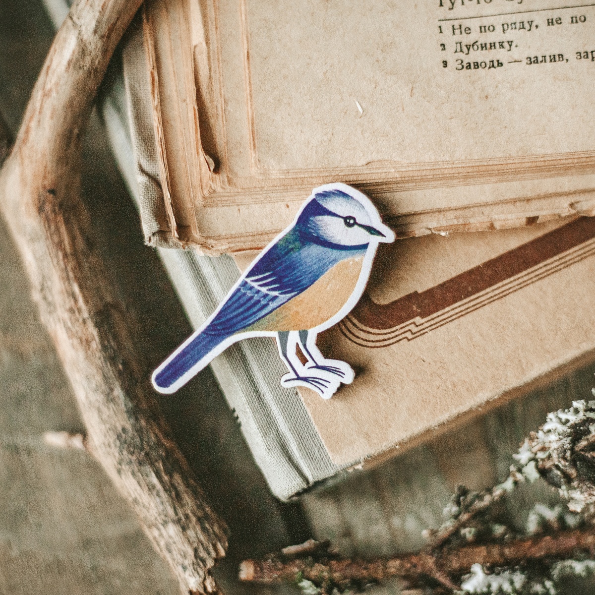 Деревянная брошка Дворникова А Лазоревка 396₽