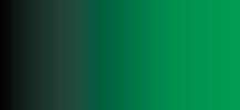 Акварель ShinHanart PRO Water Color 12 мл №410 Виридоновый зеленый акварель гамма в кювете виридоновый зеленый