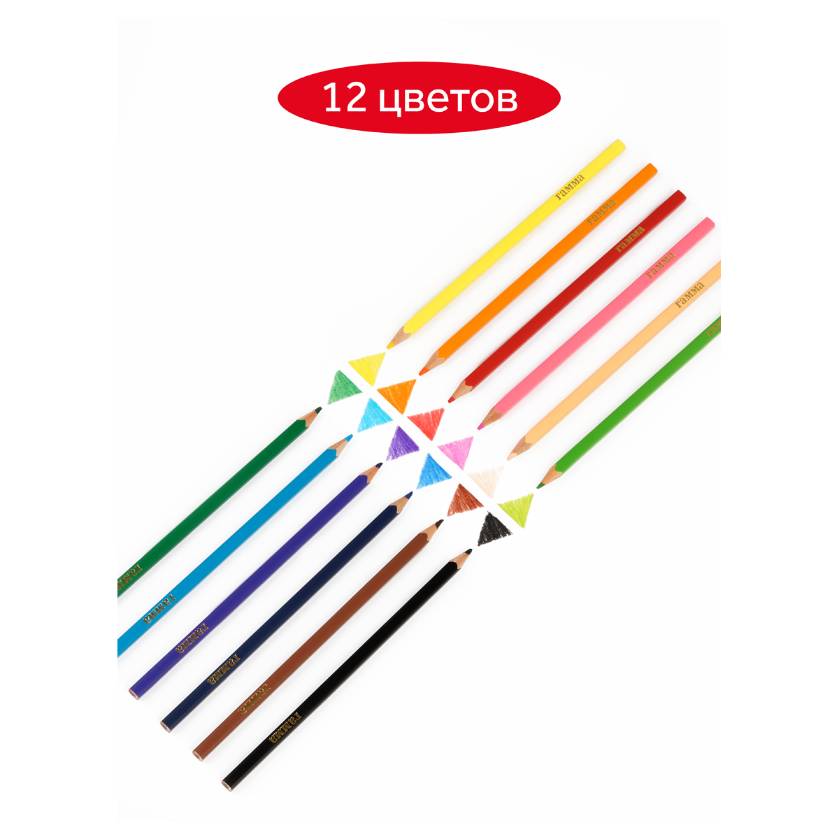 Набор карандашей цветных Гамма 12 цв, квадратные, заточен., метал. пенал ГM-280620211 - фото 2