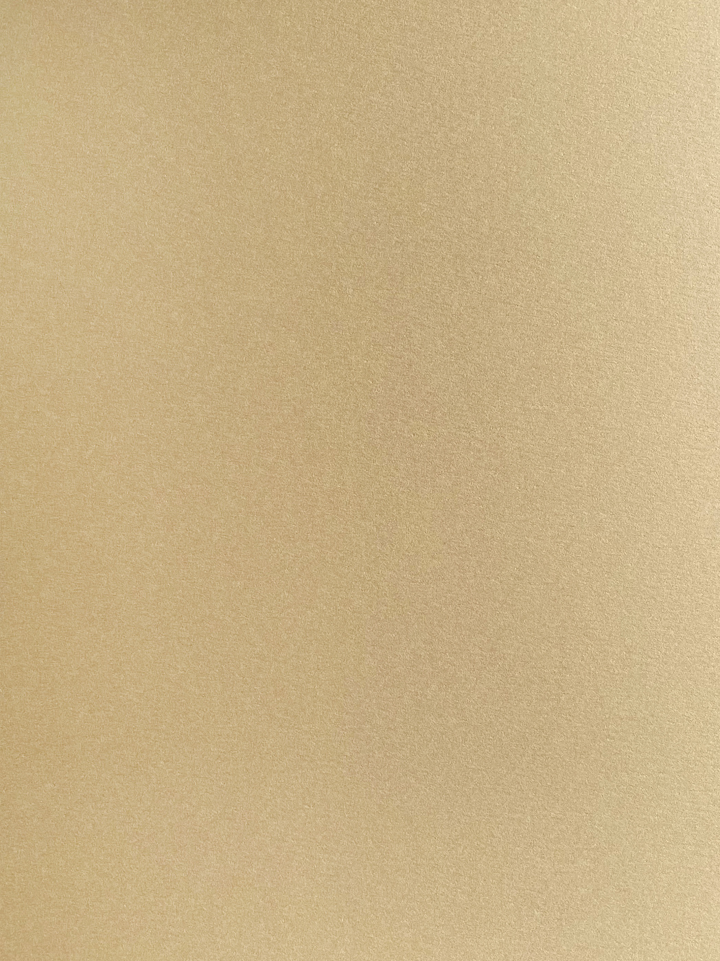 Бумага для пастели Малевичъ GrafArt А2 270 г бежевая 210₽