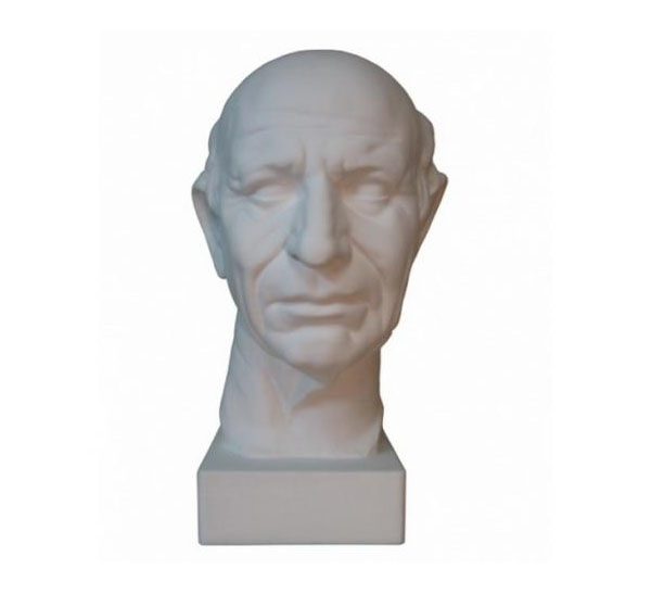 Гипс Голова Римского Гражданина база академического рисунка фигура человека голова портрет и капитель рыжкин а н