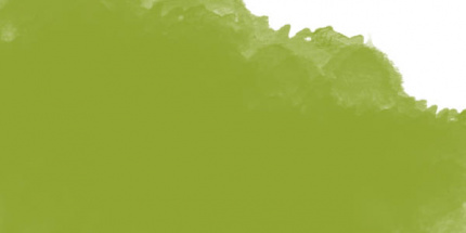 Пастель масляная профессиональная Mungyo, цвет №305 Зеленый шартрез мелки масляные малыш 24 а