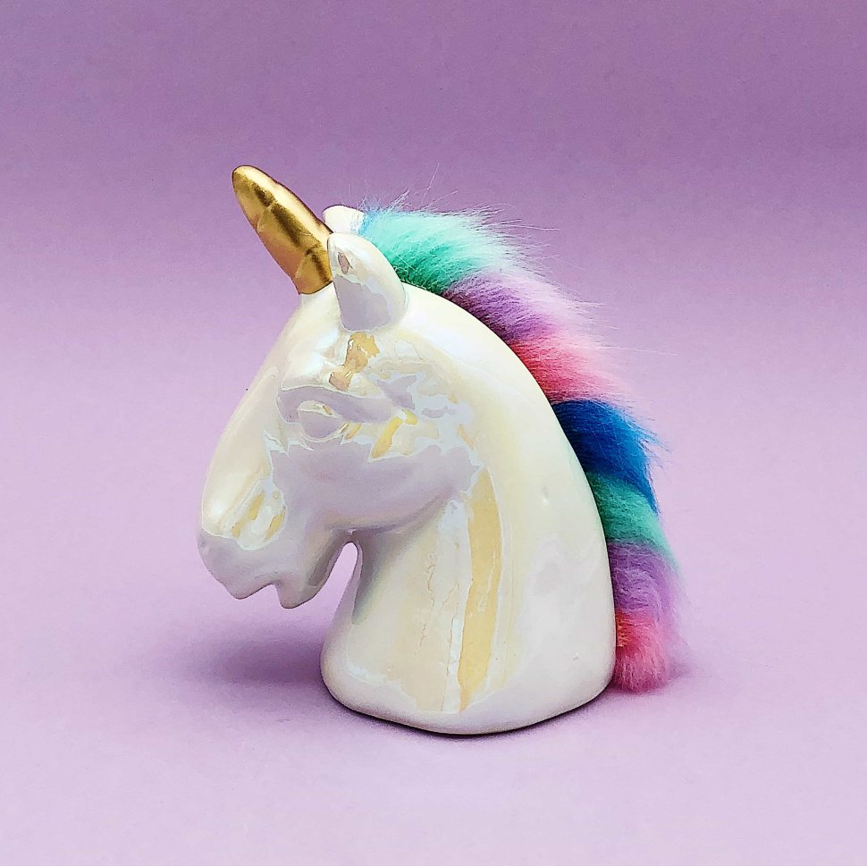  Fluffy head unicorn