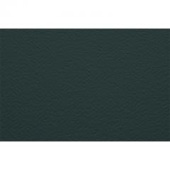 Бумага для пастели Fabriano Tiziano 70x100 см 160 г 30 антрацит 390₽