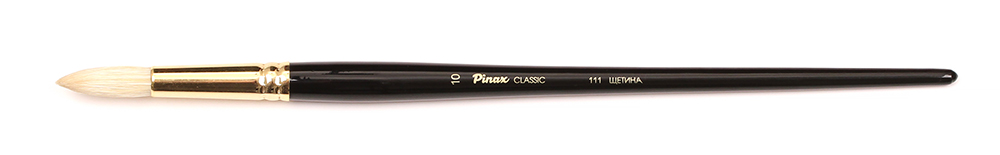    10  Pinax Classic 111  