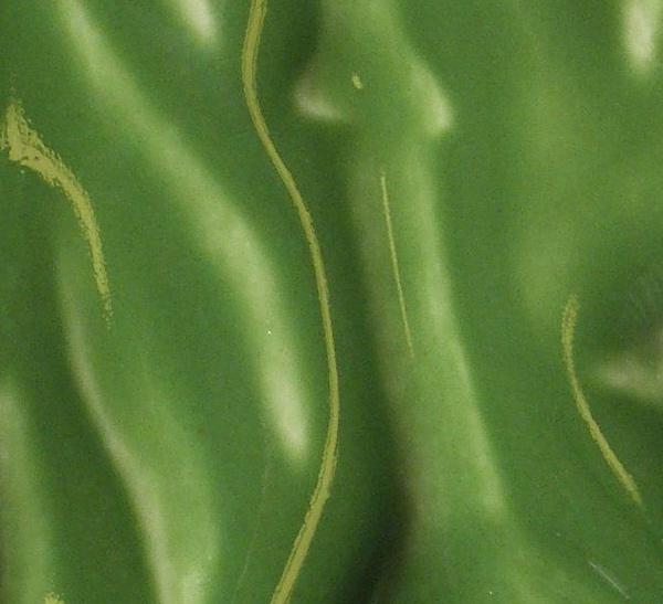 Глазурь 1 кг. цв. зеленый травяной S-0119-03 - фото 1