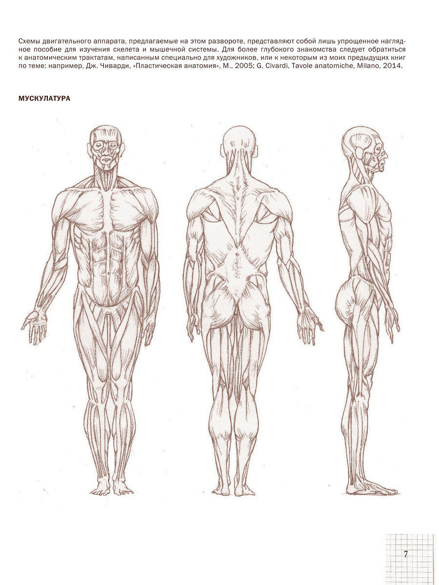 МЕДПРОФ / Анатомия человека: атлас-раскраска