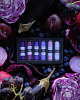 Набор пастели сухой nuance., The Color Purple, 6 шт (фиолетовые) 2