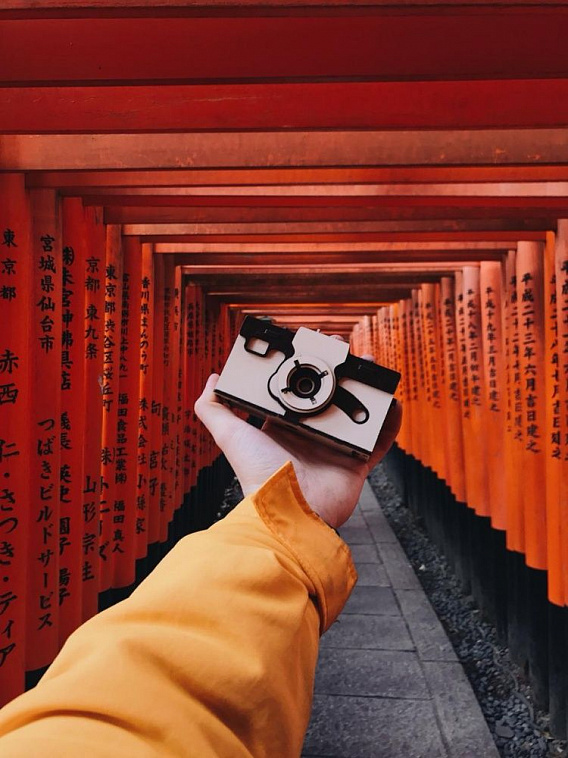 Конструктор деревянный пазл 3D VDOVICHEV "Pinhole Camera" 606x758