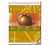 Альбом-склейка для пастели Hahnemuhle "Veloure" 30х40 см 10 л 260 г 10 цветов