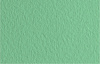 Бумага для пастели Fabriano "Tiziano" 50x65 см 160 г №13 зеленый шалфей