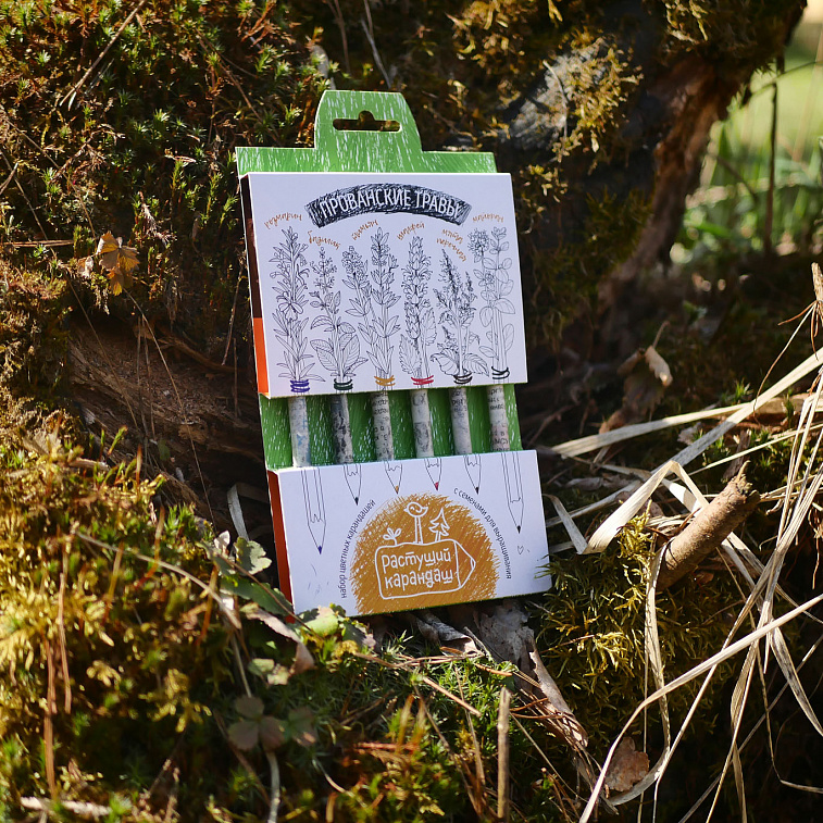 Набор растущих карандашей "Прованские травы" цветные, 6 шт.