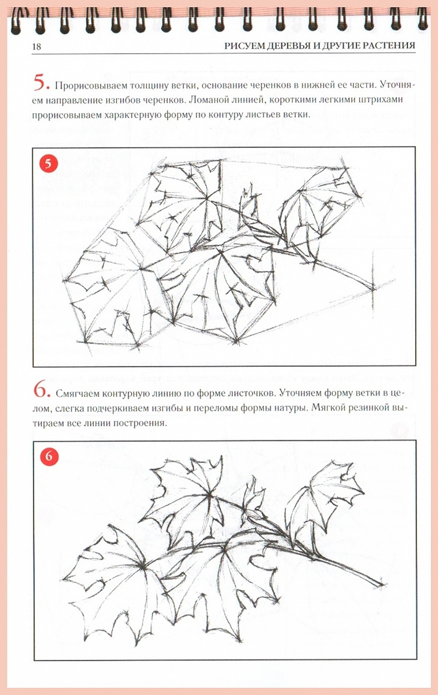 Второй обучающий сборник-раскраска по Красной книге выпущен для юных калужан