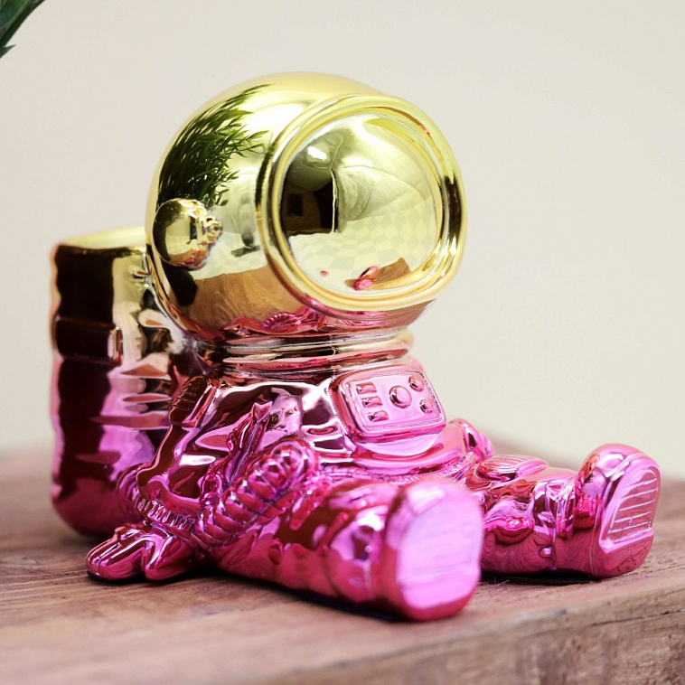 Подставка для канцелярских принадлежностей "Astronaut", pink metallic