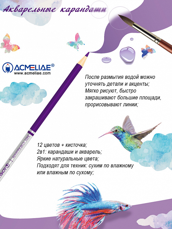 Набор карандашей акварельных цветных Acmeliae 12 цв.+кисточка