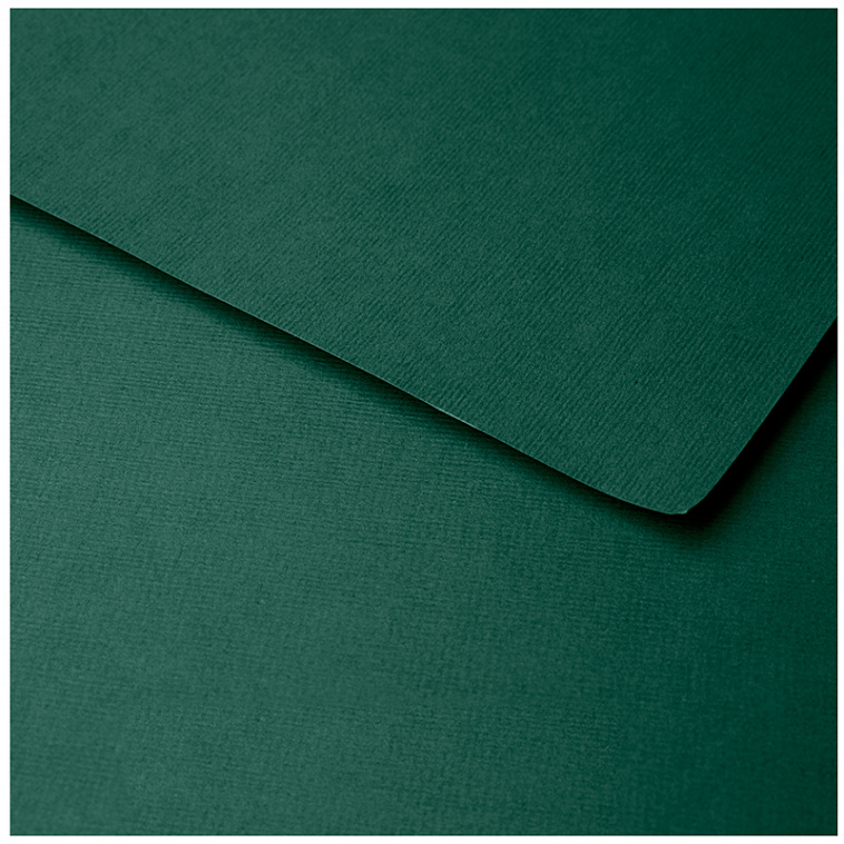 Бумага для пастели Clairefontaine "Ingres" 50x65 см, 130 г глубокий зеленый 606x758