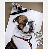 Набор маркеров Sketchmarker Brush 12 Night Set- Ночь (12 маркеров+сумка органайзер) 6