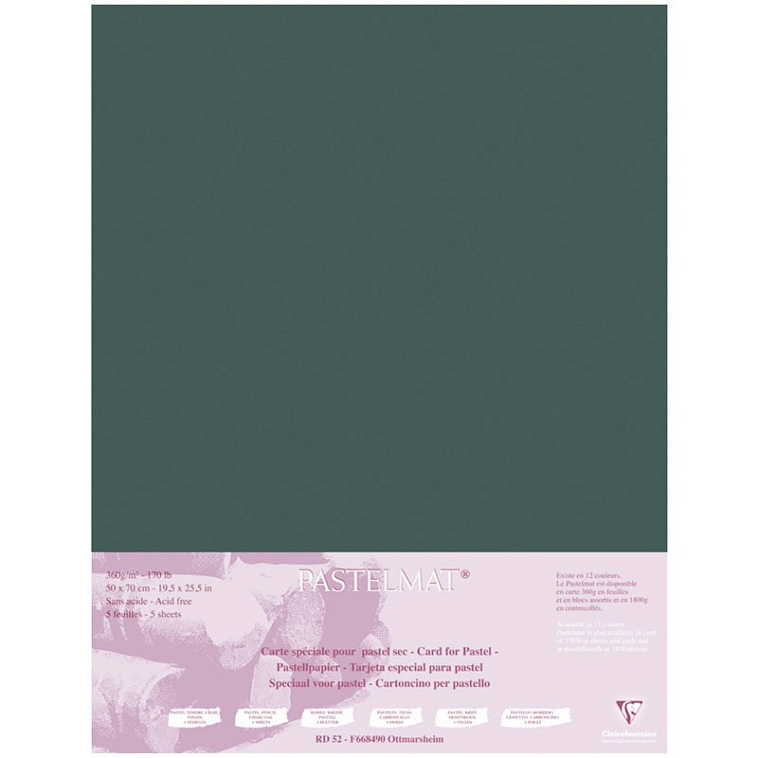 Бумага для пастели Clairefontaine "Pastelmat" 50x70 см, 360 г Темно-зеленый 606x758
