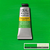 Акрил Winsor&Newton "Galeria" 60 мл Перманентный зеленый светлый   1
