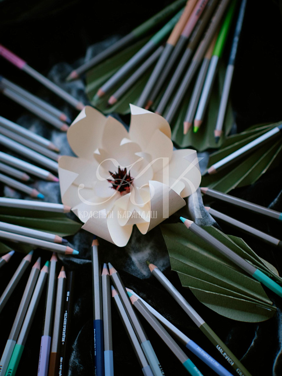 Набор карандашей цветных Малевичъ "GrafArt PRO" 40 новых цветов, 2 издание 606x758