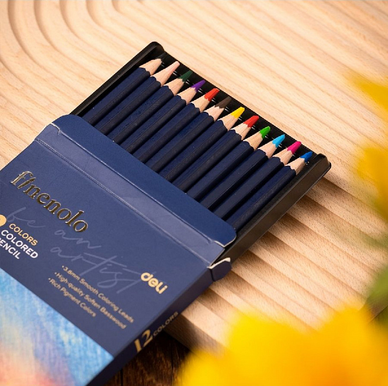 Набор карандашей цветных Finenolo 12 цветов в картонной упаковке
