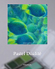 Набор пастели прессованной nuance. Pastel Dualité, La Forêt (лес), 15 цв 4