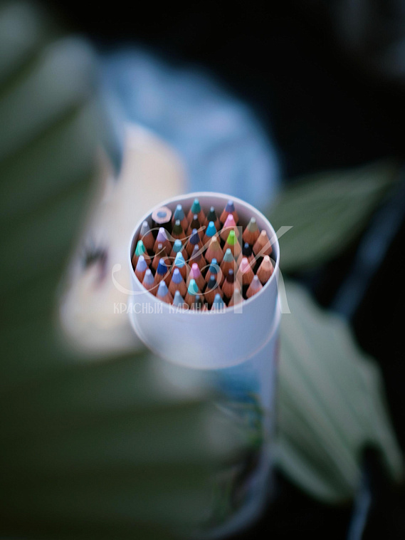 Набор карандашей цветных Малевичъ "GrafArt PRO" 40 новых цветов, 2 издание 606x758