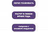 Набор для выращивания растений "Вырасти, Дерево!", "Киви зимостойкое" 5