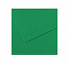 Бумага для пастели Canson "MI-TEINTES" 75x110 см 160 г №575 темно-зеленый