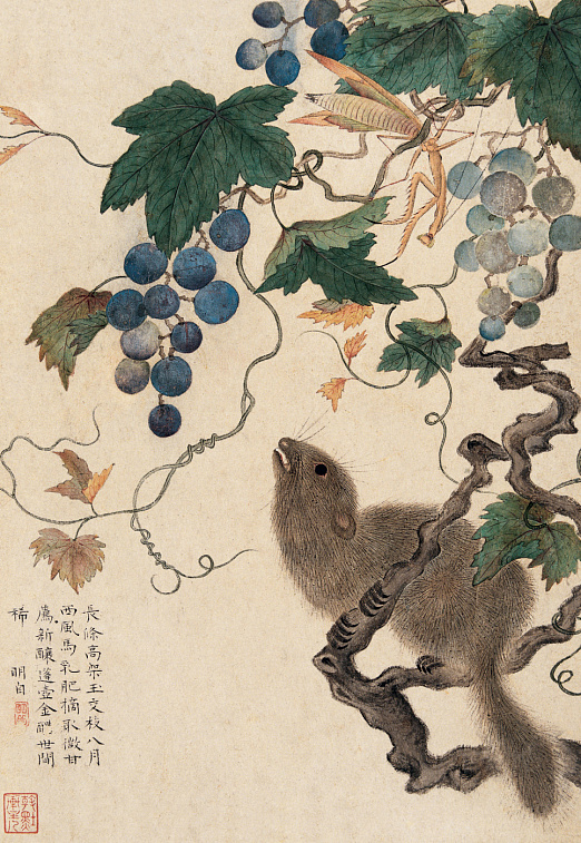 Блокнот "Белка, виноград, богомолы" 606x758